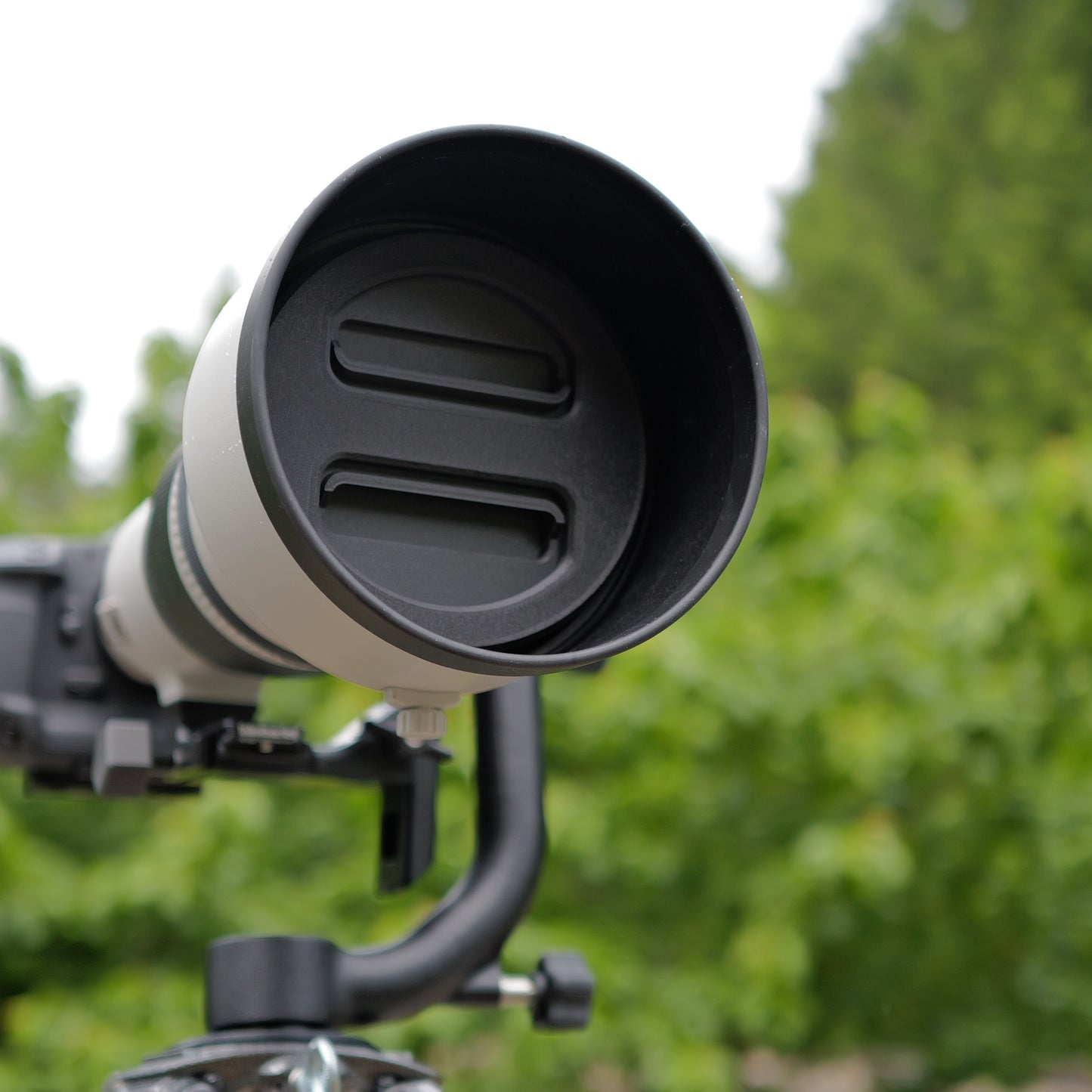 Lens Cap for Sigma Lenses